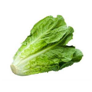 ENCIAM ROMÀ (LLARG) - UNITAT